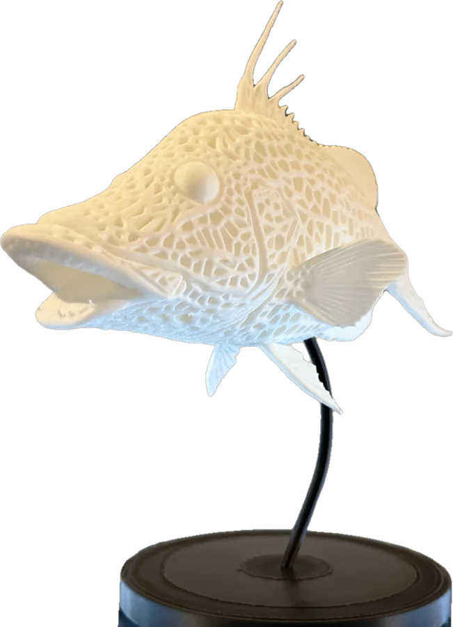 White lattice hogfish sculpture on a curved black display stand